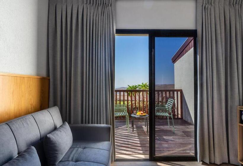 חדר סטנדרט, Roxon Desert Arad