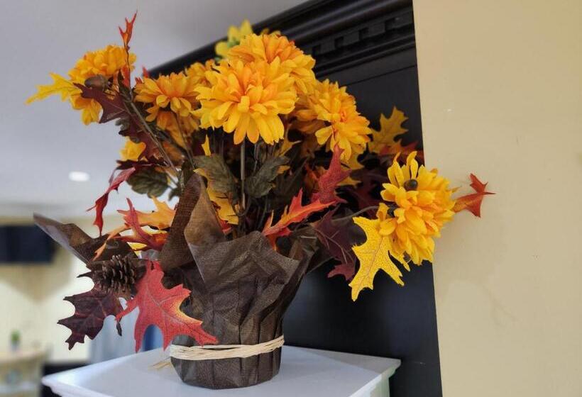 חדר סטנדרט, Empress Palace Hotel, Stays