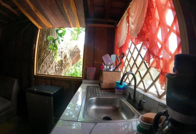 شاليه غرفة نوم واحدة, Tree House Samanea Lodge