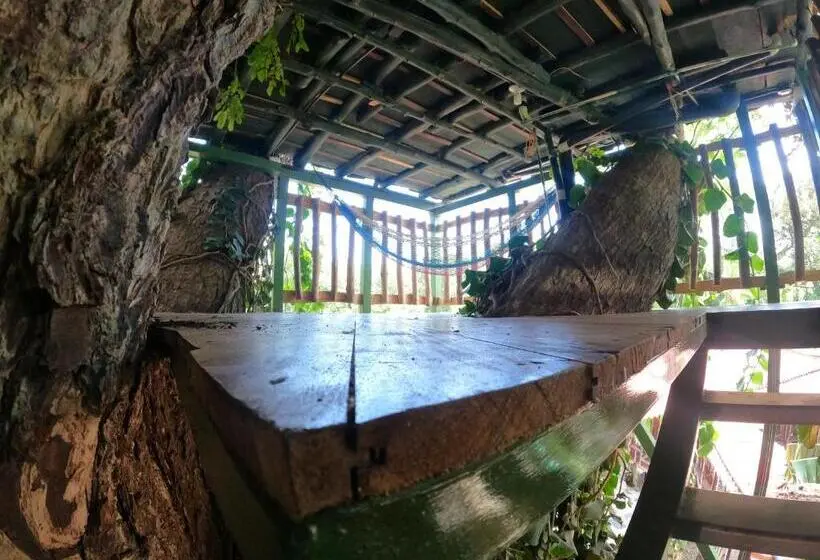 Mökki 1 Makuuhuone, Tree House Samanea Lodge