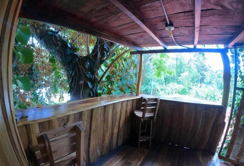 شاليه غرفة نوم واحدة, Tree House Samanea Lodge