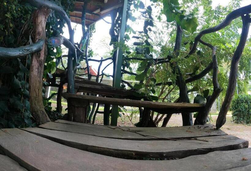 شاليه غرفة نوم واحدة, Tree House Samanea Lodge