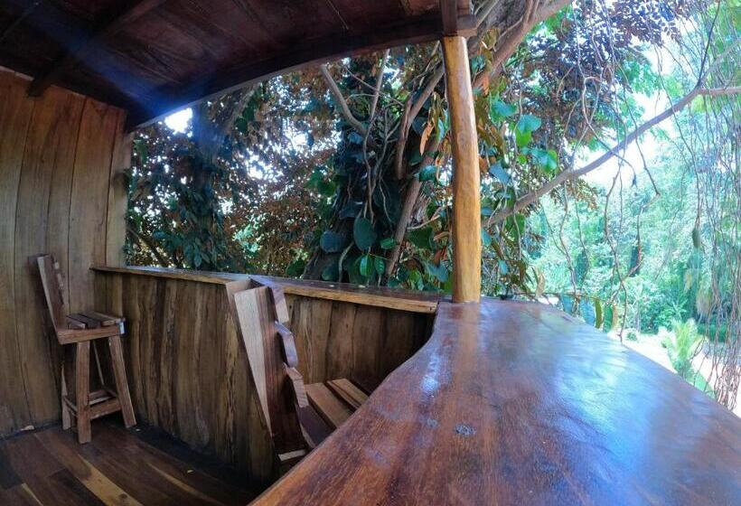 شاليه غرفة نوم واحدة, Tree House Samanea Lodge