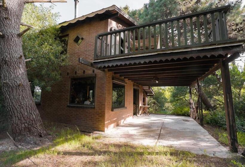 דירת חדר, Kimba Bosque