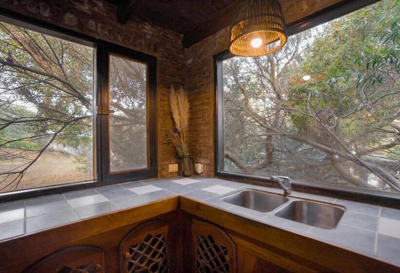 דירת חדר, Kimba Bosque