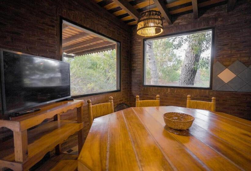 דירת חדר, Kimba Bosque