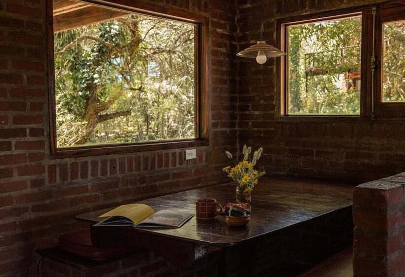 דירת חדר, Kimba Bosque