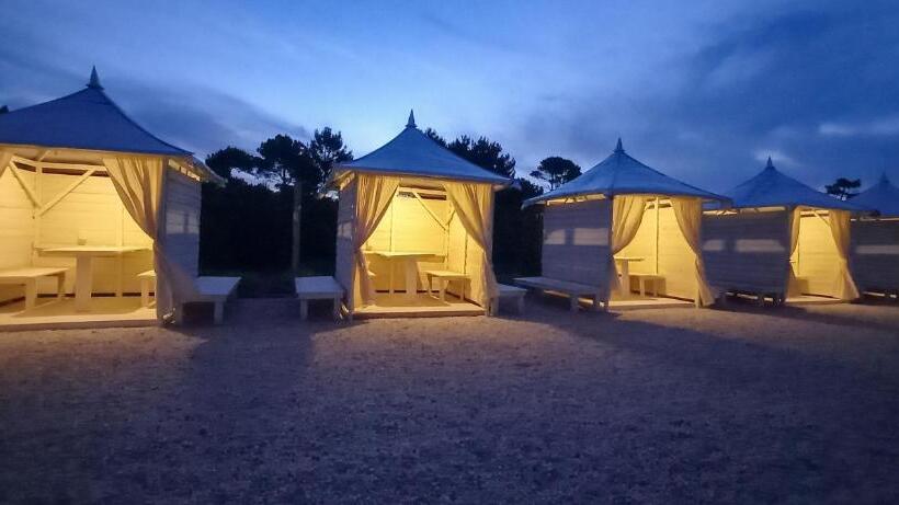 דירת חדר, Kimba Bosque