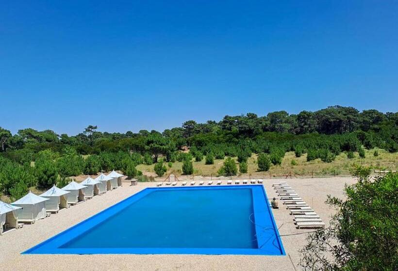 דירת חדר נוף לגינה, Kimba Bosque