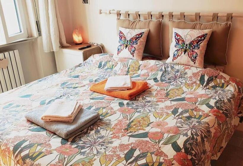 スタンダードルーム, Casa Zuccherino