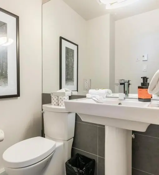 آپارتمان 1 خوابه, Suites Sur Lac Superieur Mont Tremblant