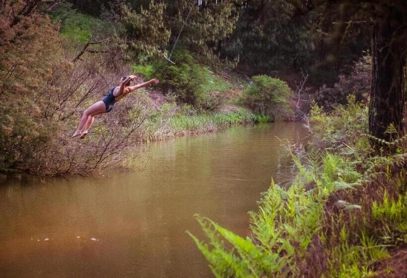 Standard Tent, Zwakala River Retreat