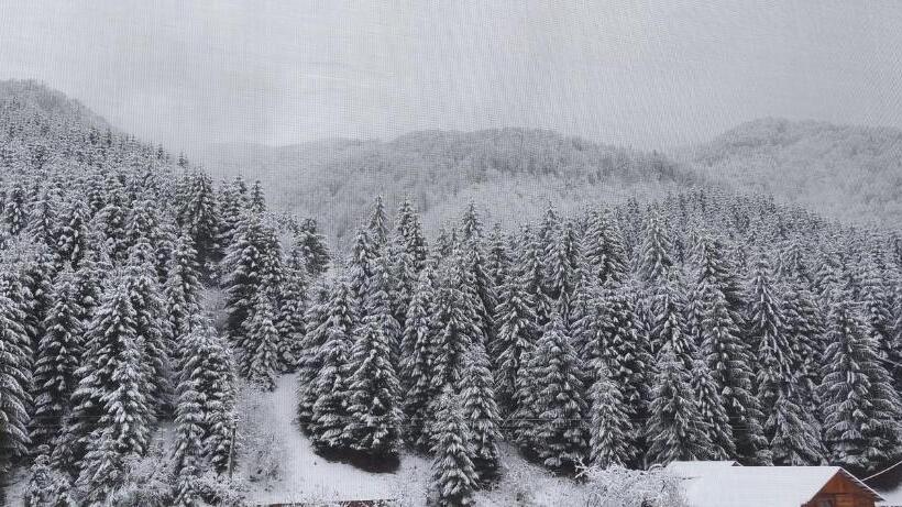 스탠다드 룸, садиба квітка карпат