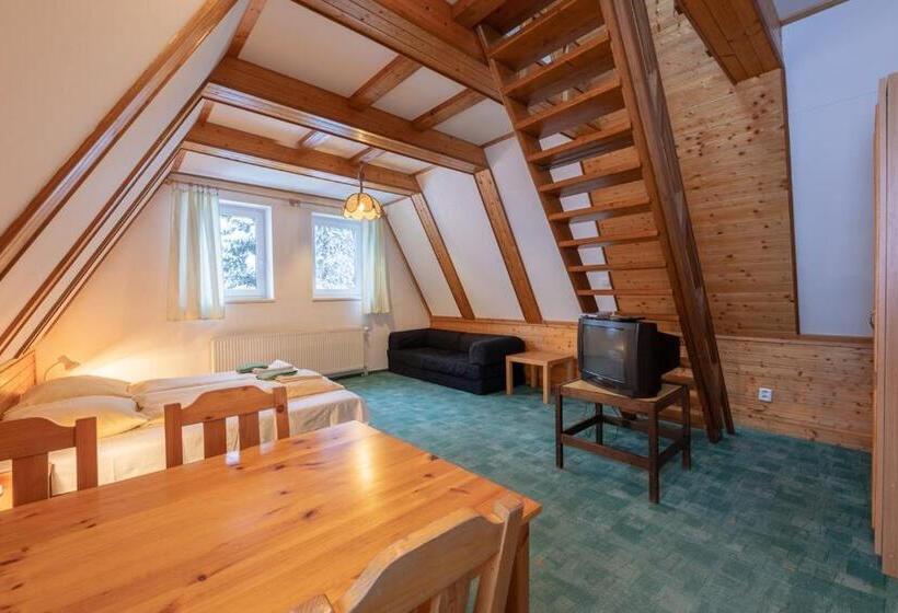 חדר סטודיו סטנדרד, Chata Miroslav