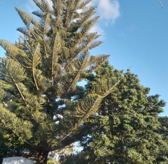 בית, 3 חדרי שינה, Lioness Estate And B&b   Auckland