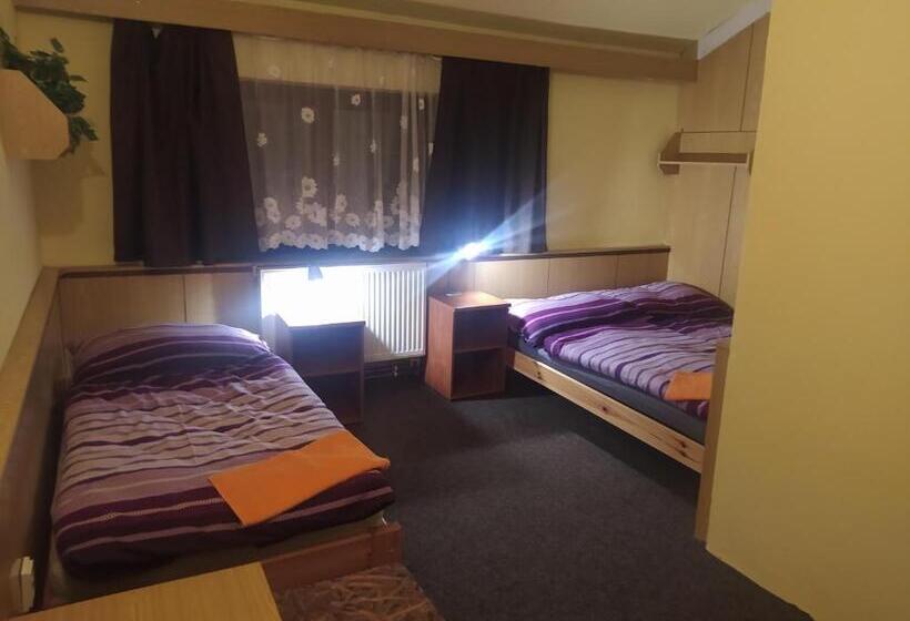 标准三人间, Penzion U Dubu