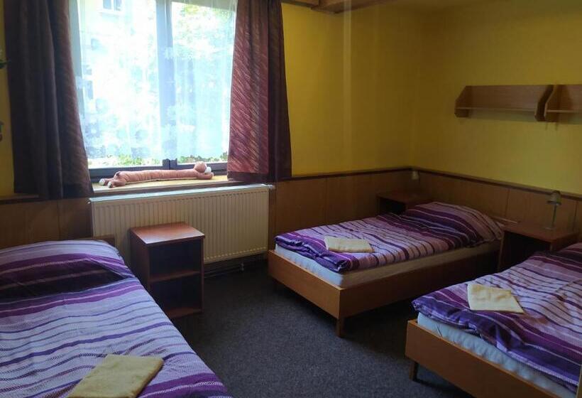 标准三人间, Penzion U Dubu