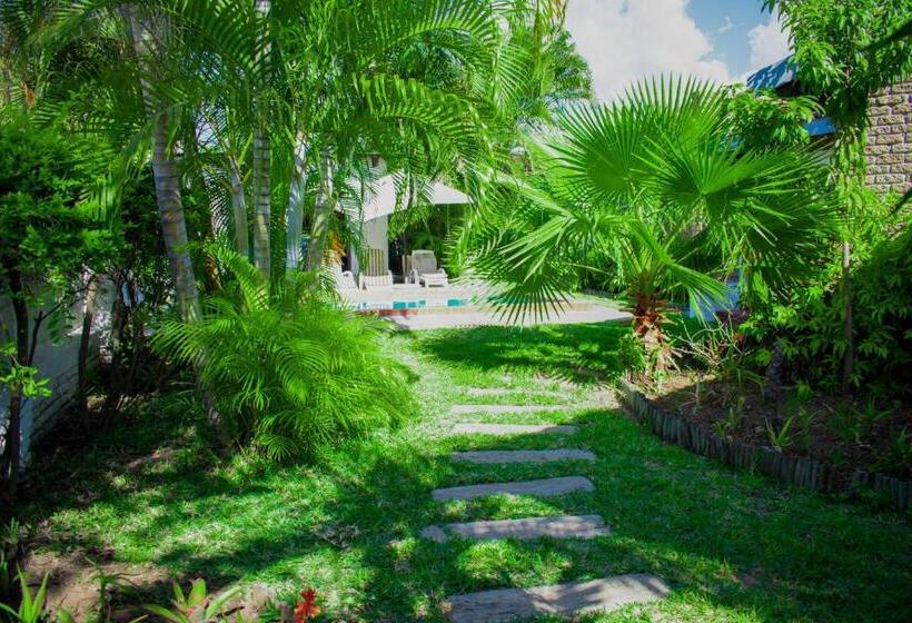 غرفة قياسية, Tengo Guest House Lulekani