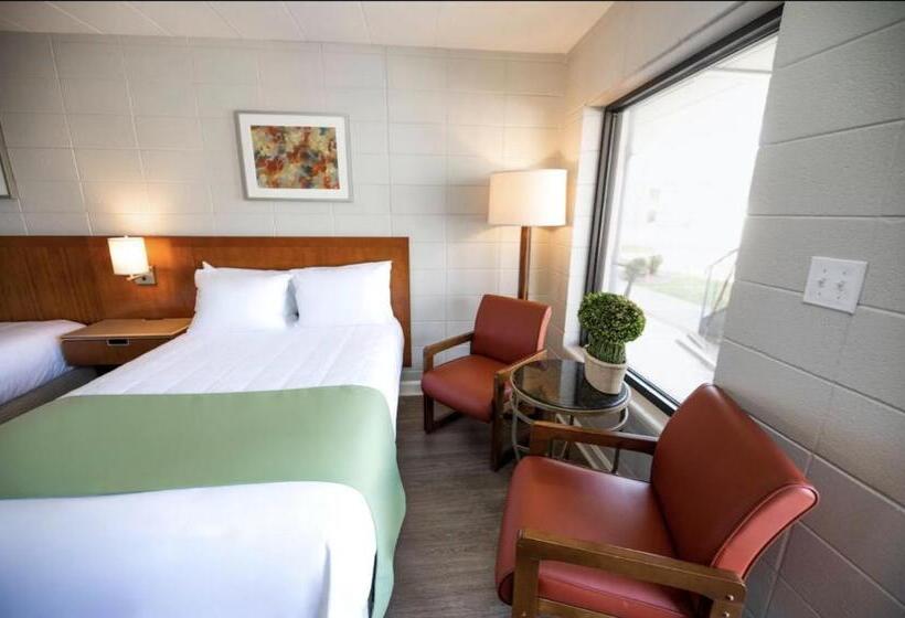 غرفة ديلوكس, The Grand Regal Resort