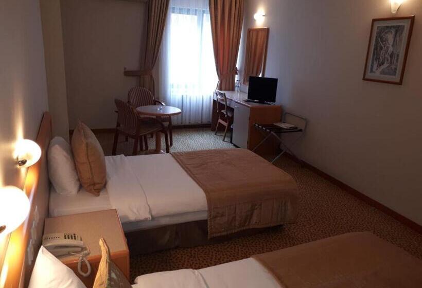 غرفة قياسية مطلة على المدينة, Sefa Hotel 1 çorlu