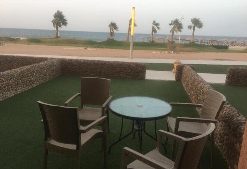 استودیو خانوادگی, Porto South Beach