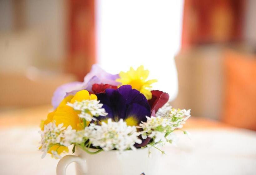 Chambre Quadruple Standard, Gästehaus Standardhaus