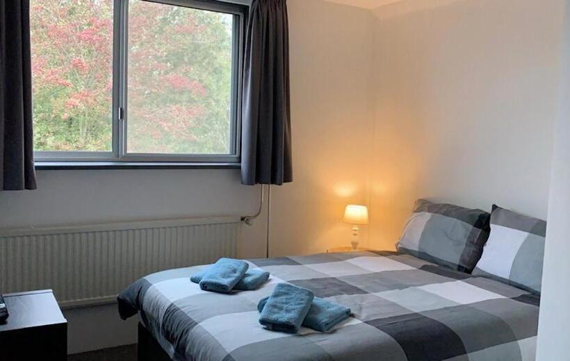 经济房, Aan De Linge