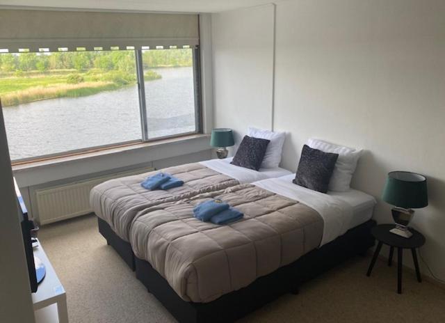 标准间, Aan De Linge