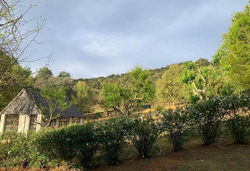 침실 2개 스위트, Bramleigh Farm