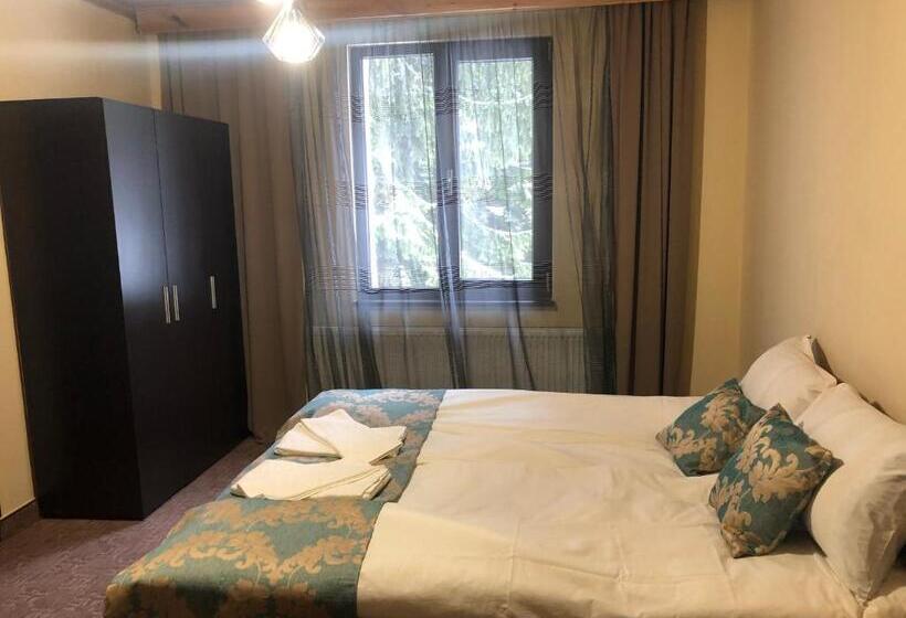 شقة غرفة واحدة, Villa Ivan & Petar