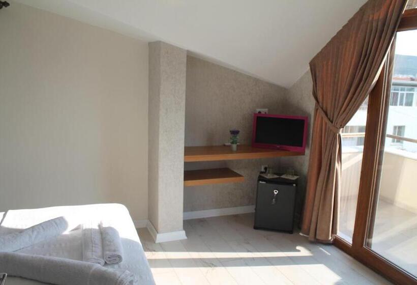 חדר אקונומי, Lila Butik Hotel Dikili