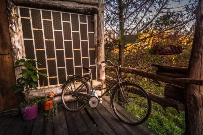 Шале 1 Спальня, Malo Watson Hostel