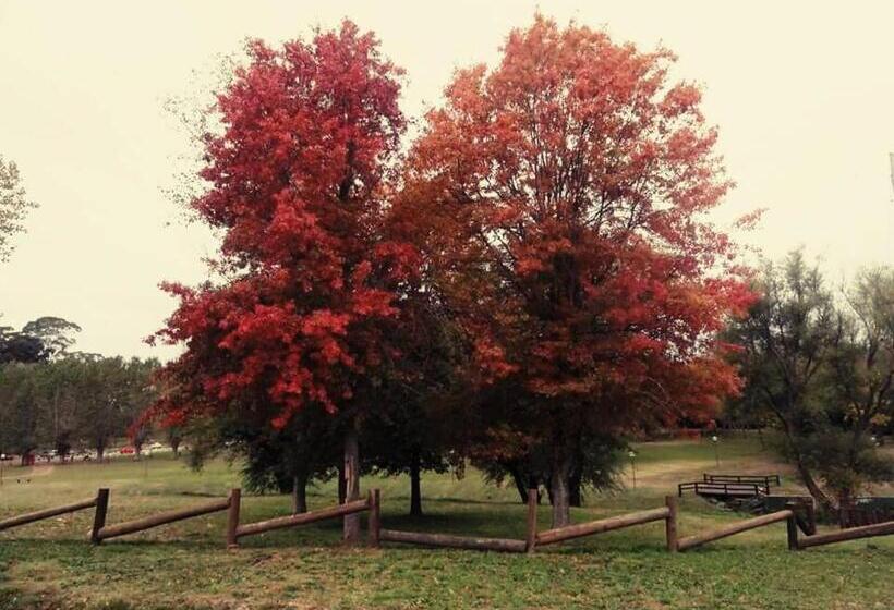 کلبه ییلاقی, Malo Watson Hostel