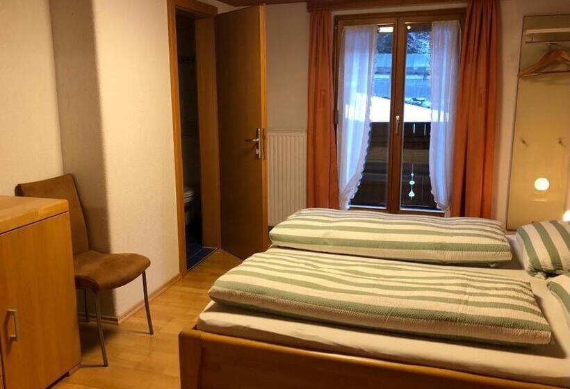 带1个卧室的公寓, Haus Konzett