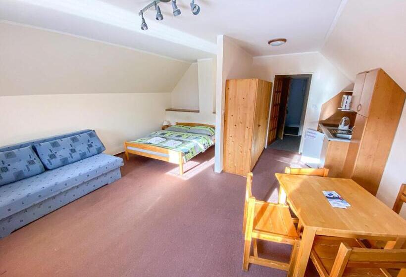 اتاق استاندارد چهار تخته, Penzion Koula