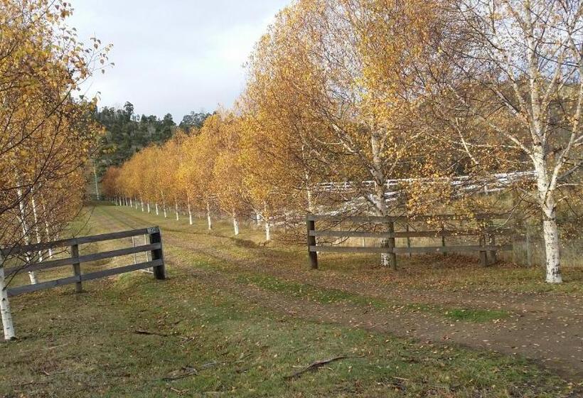 Номер Deluxe Вид на Горы, Scout Hall