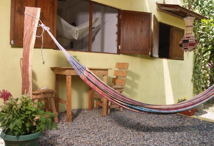 استودیوی استاندارد, Sistarasta