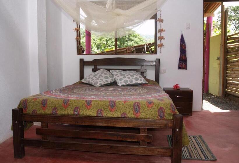 استودیوی استاندارد, Sistarasta