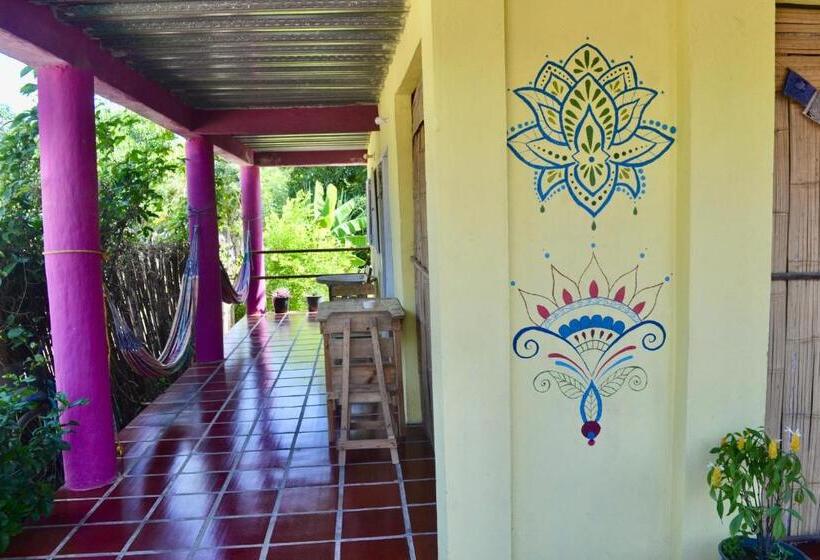 اتاق استاندارد, Sistarasta