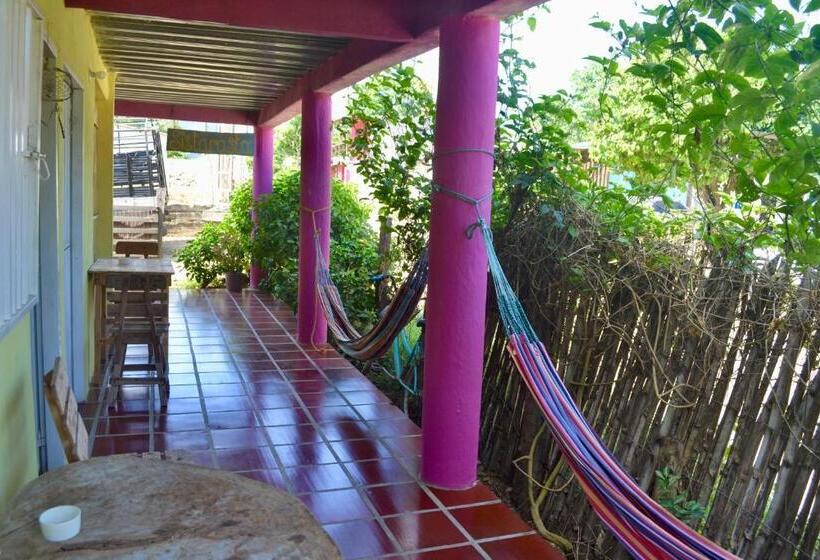 اتاق استاندارد, Sistarasta