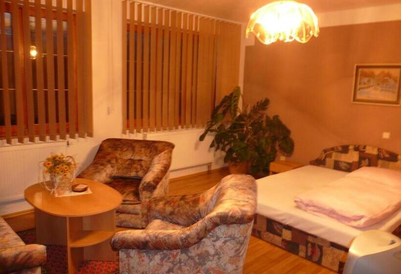 스탠다드 룸 공동 욕실, Penzion U Urbanů