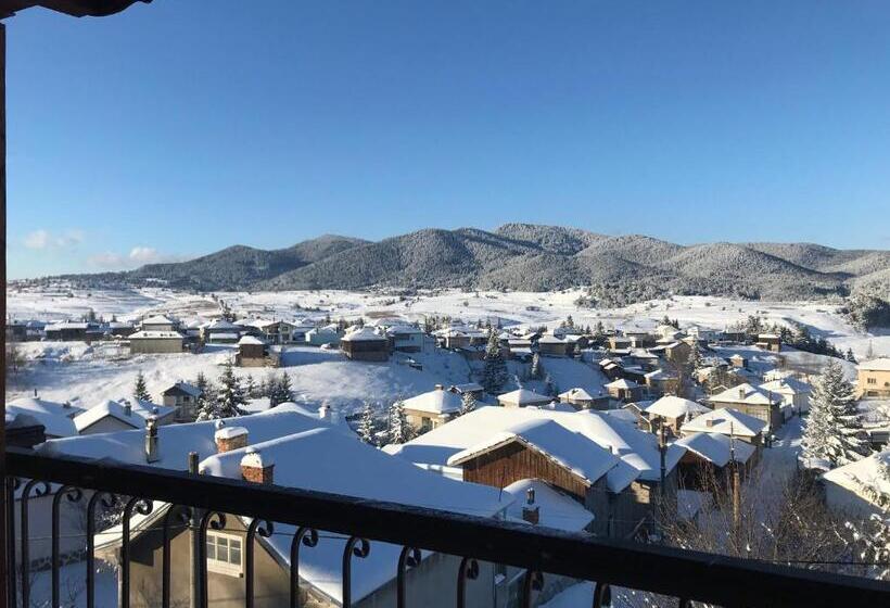 סטודיו סטנדרט עם מרפסת, Boryka Family