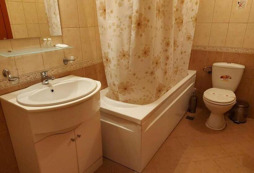 إستوديو قياسى مزودة بتراس, Boryka Family