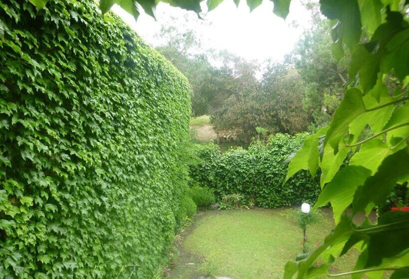 اتاق استاندارد سه نفره, Hosteria Del Sur