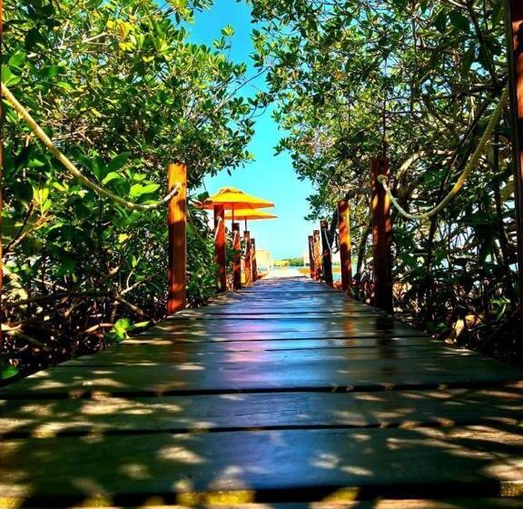 اتاق لوکس, Playa Scondida Baru