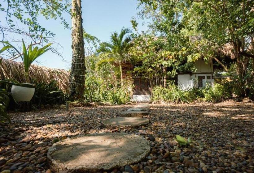 اتاق لوکس, Playa Scondida Baru