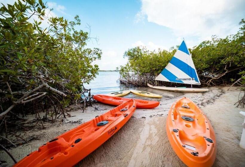 اتاق لوکس, Playa Scondida Baru