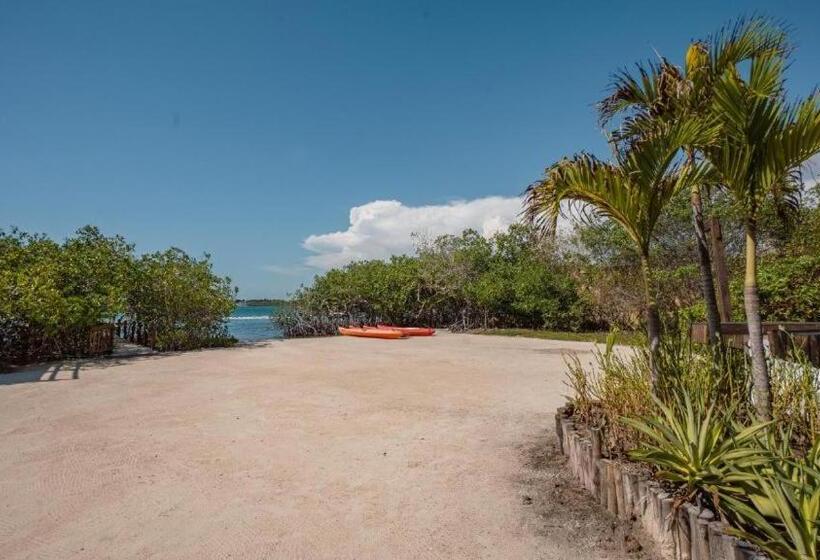 اتاق لوکس, Playa Scondida Baru