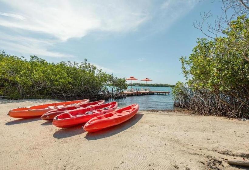 اتاق لوکس, Playa Scondida Baru