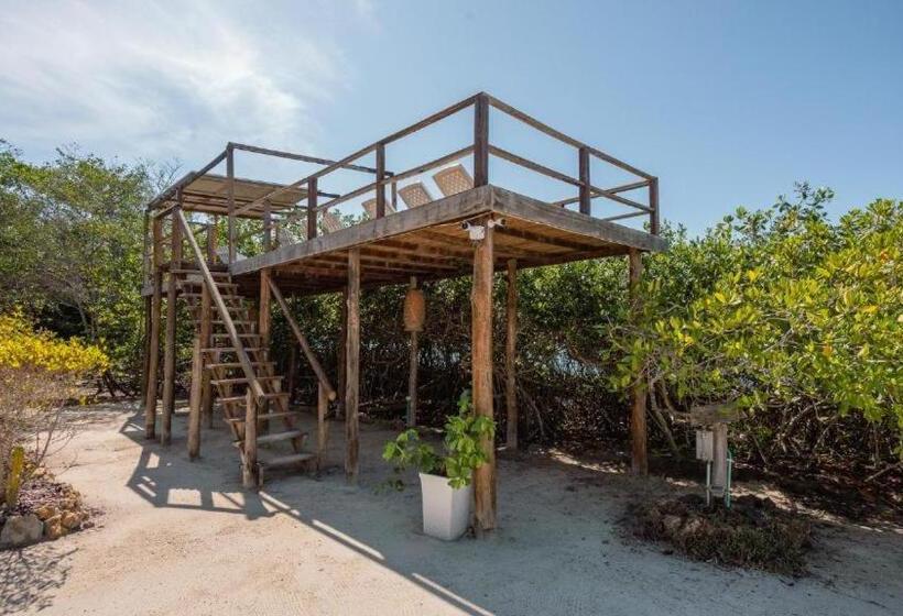 اتاق لوکس, Playa Scondida Baru